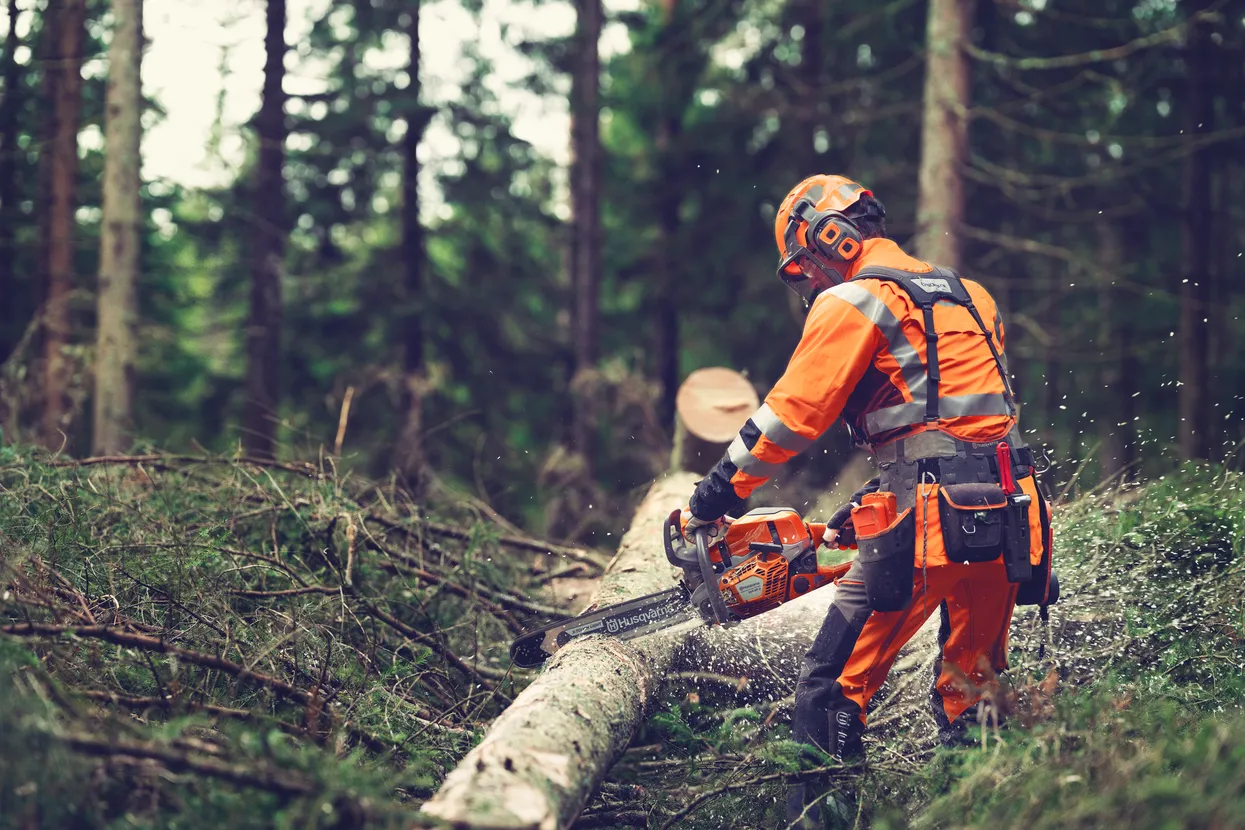 Kettsaag Husqvarna 564 XP®G 20" X-Force 3/8" C85